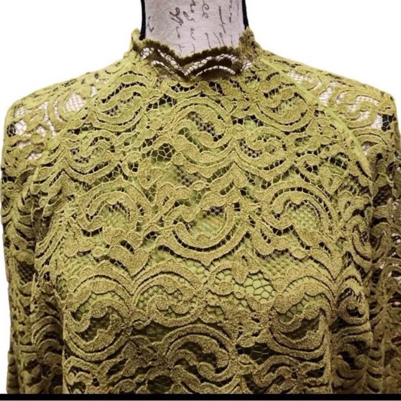 Zara Olive Green Lace Long Sleeve Dress - Picture 8 of 10
